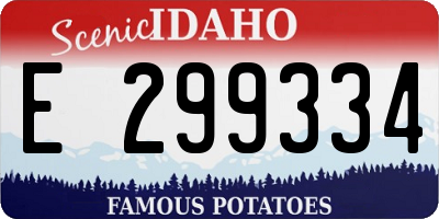 ID license plate E299334