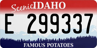 ID license plate E299337