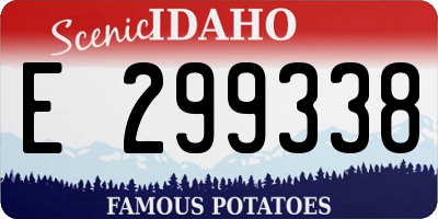 ID license plate E299338