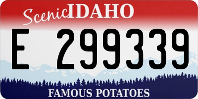 ID license plate E299339