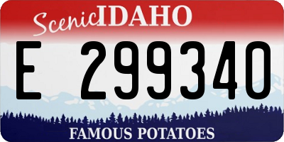 ID license plate E299340