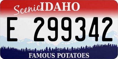 ID license plate E299342