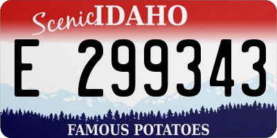ID license plate E299343