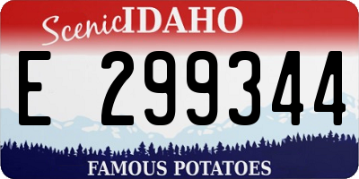 ID license plate E299344