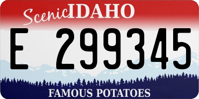 ID license plate E299345
