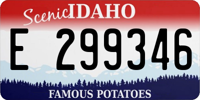 ID license plate E299346