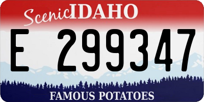 ID license plate E299347