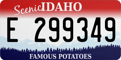 ID license plate E299349