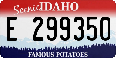 ID license plate E299350