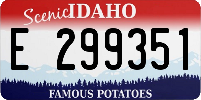 ID license plate E299351