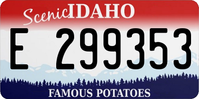 ID license plate E299353