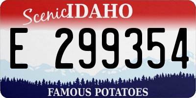ID license plate E299354