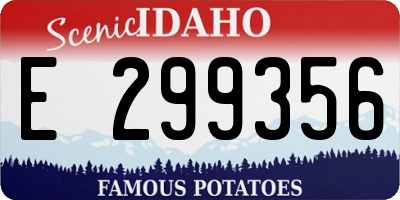 ID license plate E299356