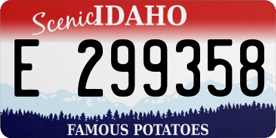 ID license plate E299358