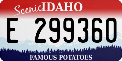 ID license plate E299360