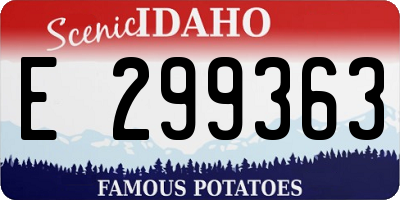 ID license plate E299363