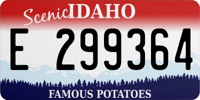 ID license plate E299364