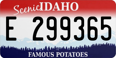 ID license plate E299365