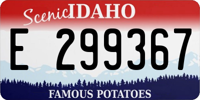 ID license plate E299367