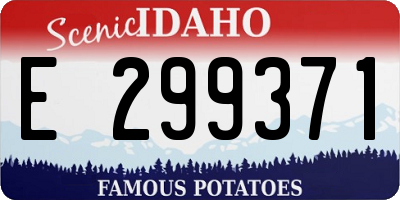 ID license plate E299371