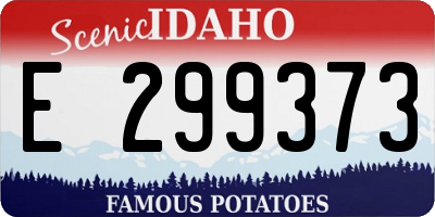 ID license plate E299373