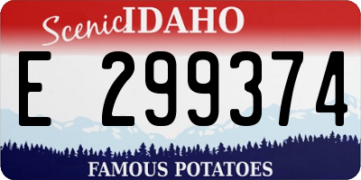 ID license plate E299374