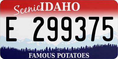 ID license plate E299375