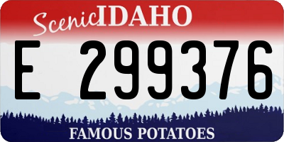 ID license plate E299376
