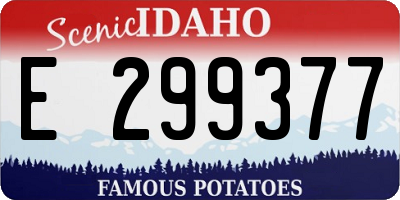 ID license plate E299377
