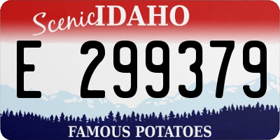 ID license plate E299379
