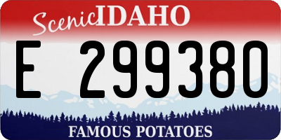 ID license plate E299380