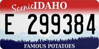 ID license plate E299384
