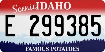 ID license plate E299385