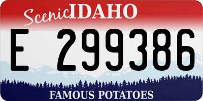 ID license plate E299386