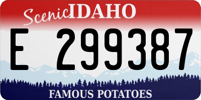 ID license plate E299387