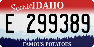 ID license plate E299389