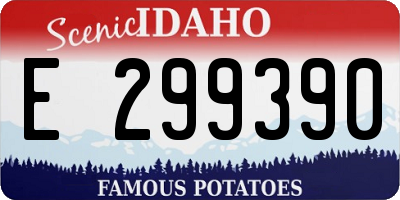 ID license plate E299390