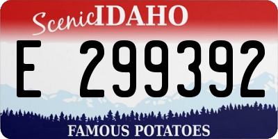 ID license plate E299392