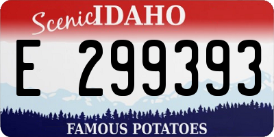 ID license plate E299393
