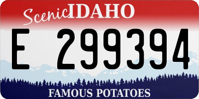 ID license plate E299394