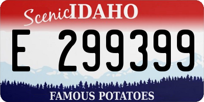 ID license plate E299399