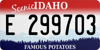 ID license plate E299703
