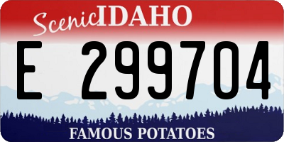 ID license plate E299704
