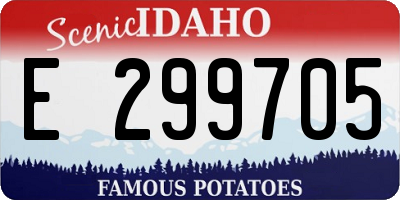 ID license plate E299705