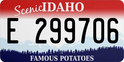 ID license plate E299706