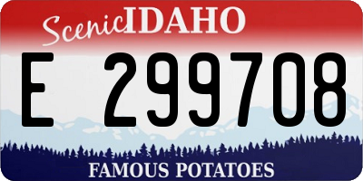 ID license plate E299708