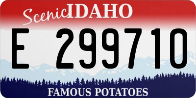 ID license plate E299710