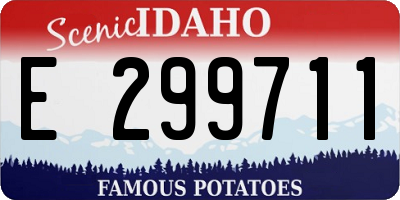 ID license plate E299711