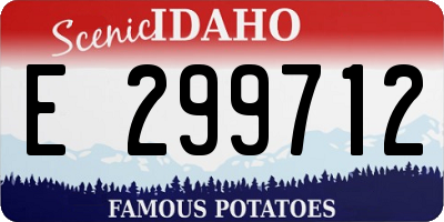 ID license plate E299712