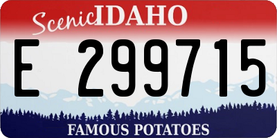 ID license plate E299715